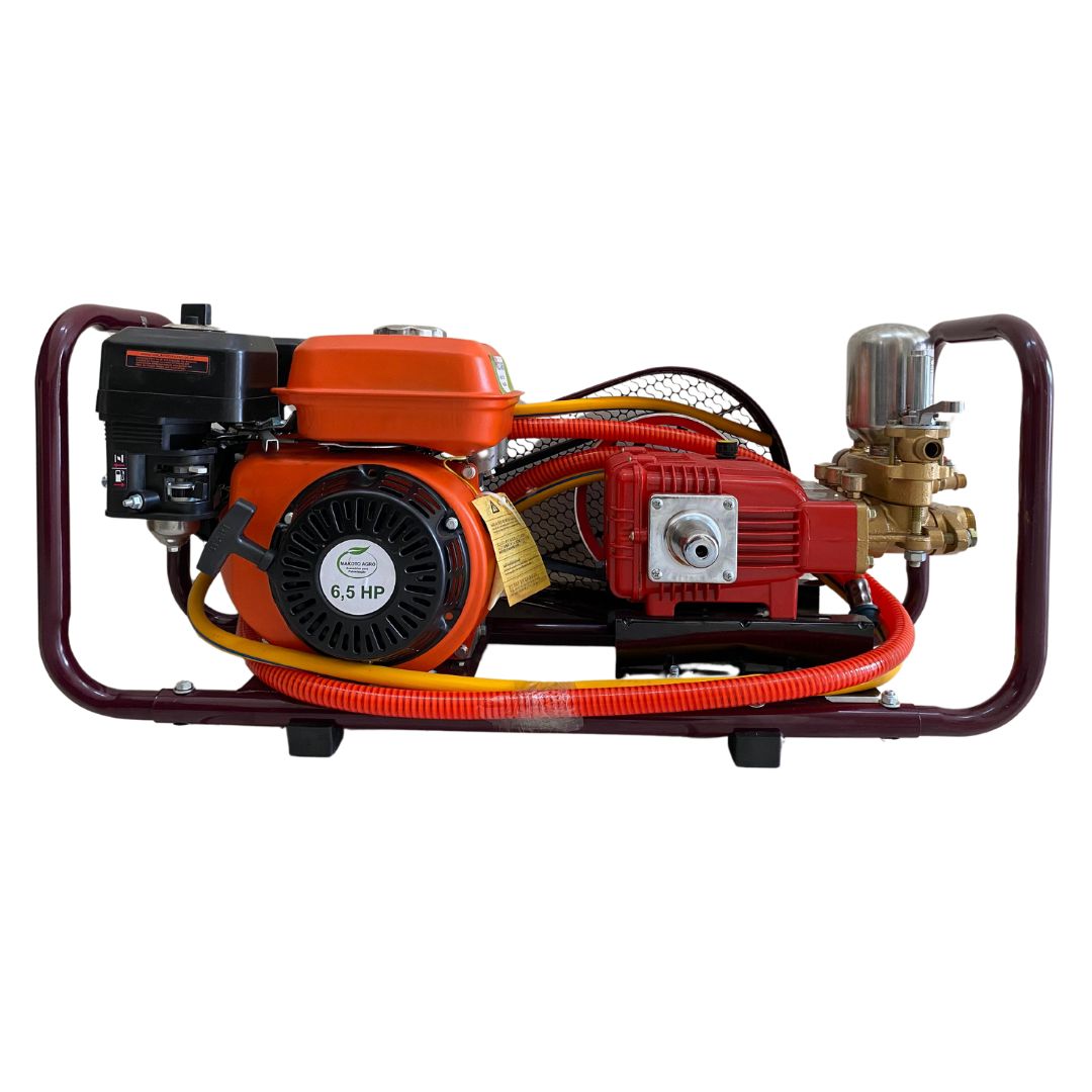 PULVERIZADOR 45L+MOTOR 6,5 HP + BASE C/ PROTETOR CORREIA